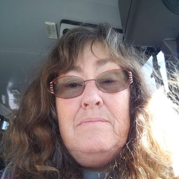 busdrivingfool